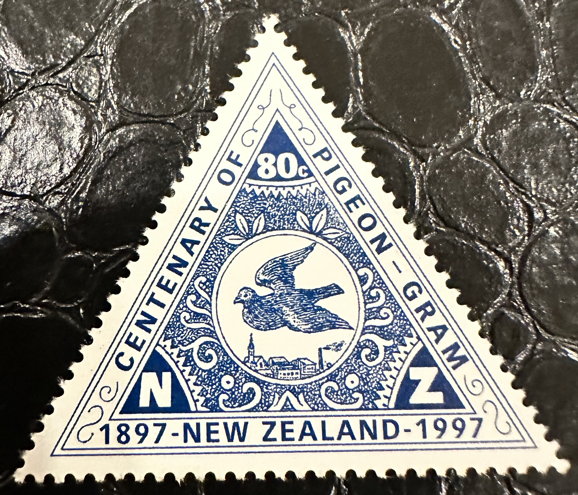 New Zealand Pigeon Blue